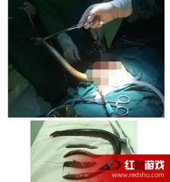 黄鳝被女主播视频,揭秘网络直播背后的伦理争议