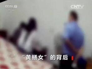 黄鳝被女主播视频,揭秘网络直播背后的伦理争议