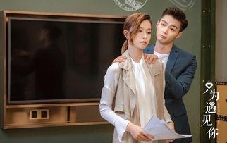 只为遇见你演员表