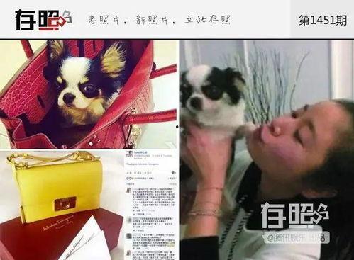 日常生活炫富图片,揭秘日常中的奢华与品味