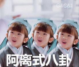 糯米阿离团表情包,萌动瞬间，笑点满满