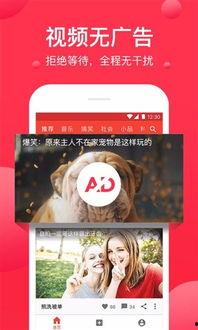 西瓜视频免费网站在线观看,免费在线观看精彩内容